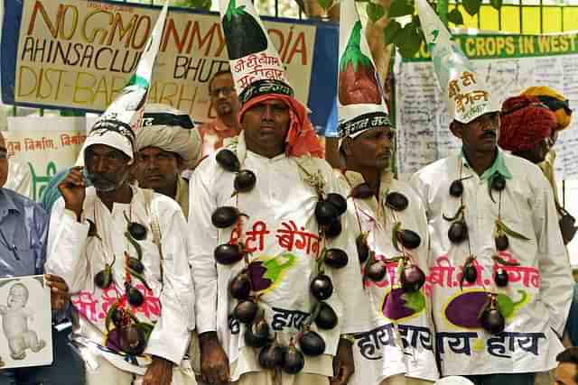 Indian farmers wear garlands of brinjals during a protest against GM Crops in New Delhi.